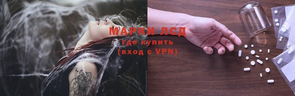 индика Беломорск