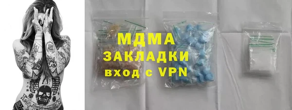 индика Беломорск