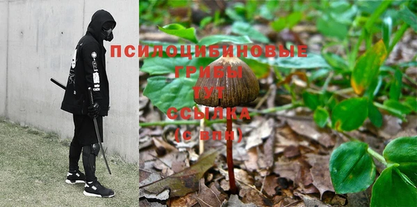 не бодяженный Белокуриха