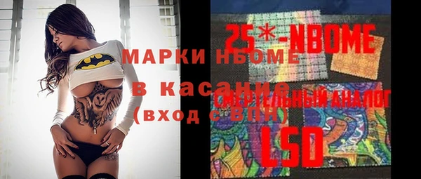 индика Беломорск
