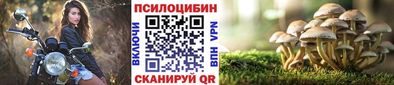 Галлюциногенные грибы Cubensis Володарск